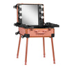 Schminkkoffer Mobile Station T-27 mit Beleuchtetem Spiegel Roségold