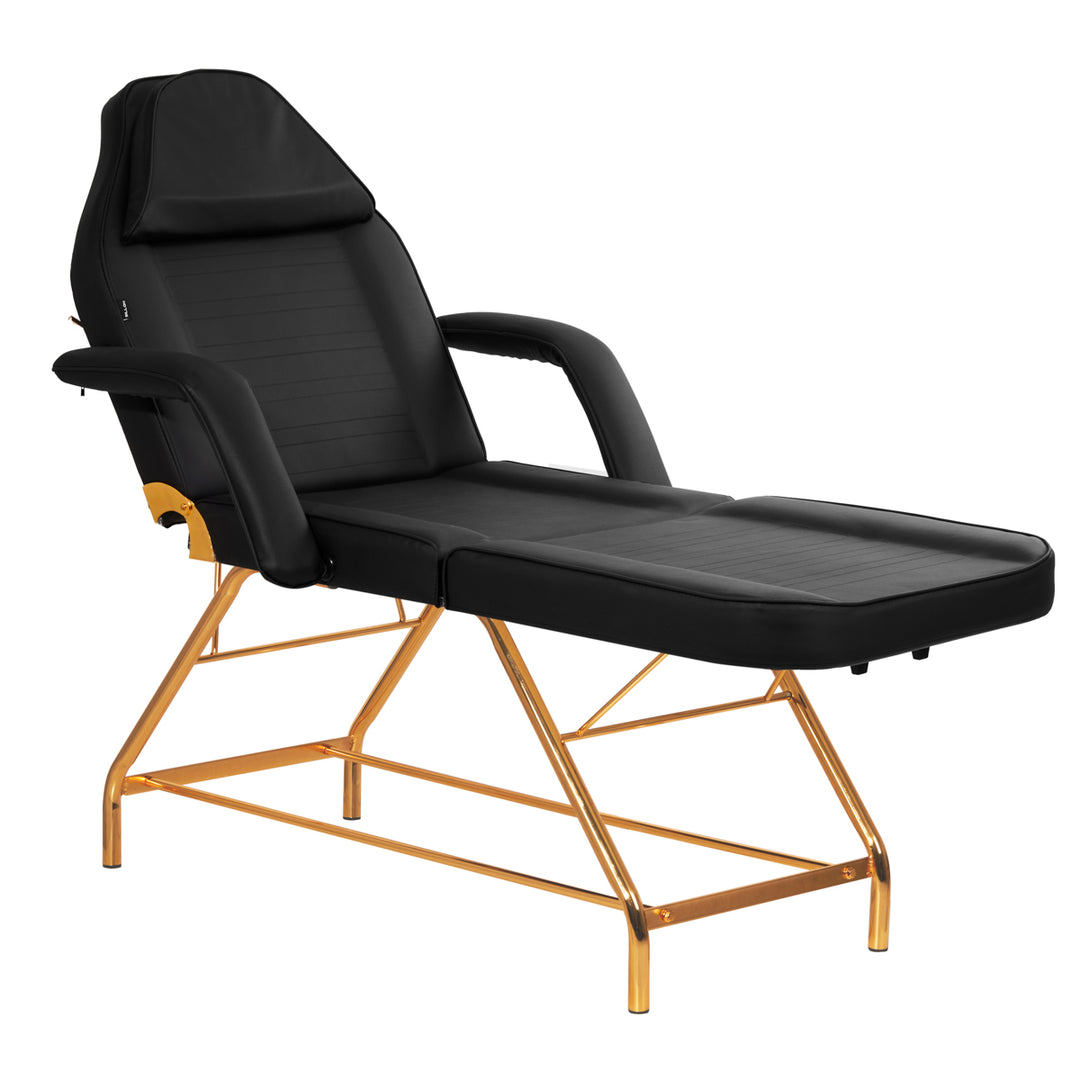 Behandlungsstuhl Sillon 211 Pro Gold Schwarz 2